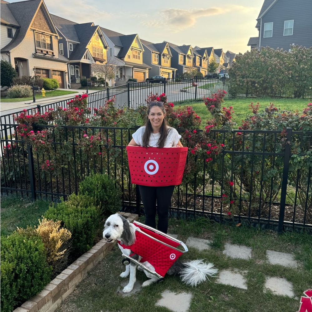 Target Halloween Costume 🎯